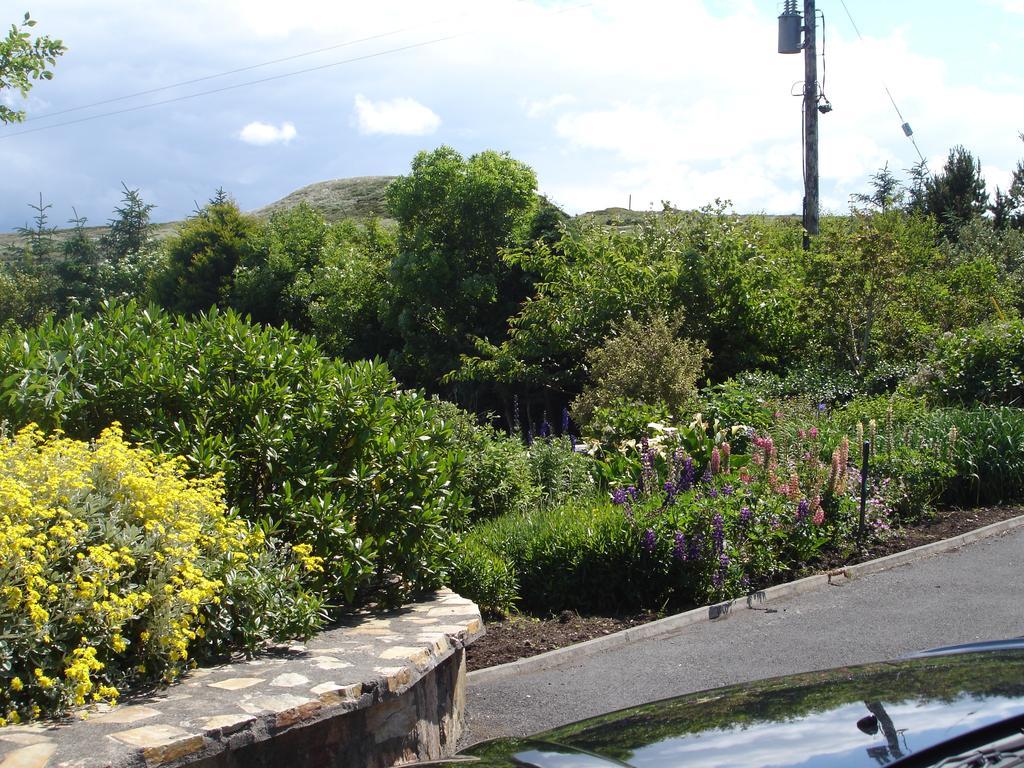 קליפדן Ben Breen House B&B מראה חיצוני תמונה